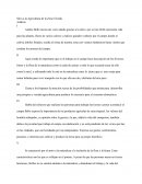 Como se da el Analisis de silva a la Agricultura de la Zona Tórrida