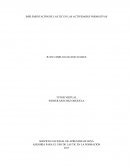 Un TIC en las Actividades Formativas