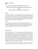 Estudiantes de Ingeniería Agroindustrial, Universidad de Sucre.