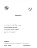 La agenda 21 es una serie de normas para promover el desarrollo sostenible.