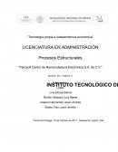 Como se da el avance de las Empresas juice fruit