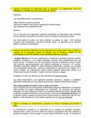 Explique brevemente las diferencias entre la economía y la organización social del Paleolítico y el Neolítico así como las causas del cambio