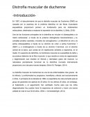 Como se Distrofia muscular de duchenne