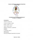 HISTORIA DE LAS ESCUELASS INDIGENALES DE CAIZA Y WARISATA