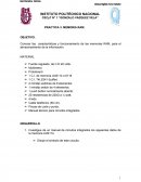 PRACTICA 3. MEMORIA RAM