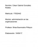 Modulo: administración en las organizaciones