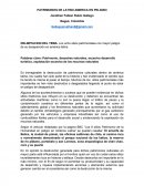 PATRIMONIOS DE LATINO AMERICA EN PELIGRO