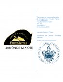 Tecnología en Productos Cárnicos