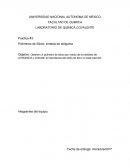 Practica #3: Polímeros de Silicio: síntesis de boligoma