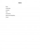 Sensación y Percepción. Transmisión del mensaje del ojo al cerebro