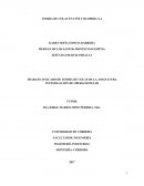 TRABAJO APLICADO DE TEORÍA DE COLAS DE LA ASIGNATURA INVESTIGACIÓN DE OPERACIONES II