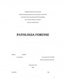 Area: Ciencias Politicas y Juridicas II