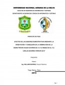 EFECTOS DE LAS SESIONES DEMOSTRATIVAS MEDIANTE LA ORIENTACIÓN Y CONSEJERÍA EN LA DISMINUCIÓN DE LA DESNUTRICIÓN AGUDA EN NIÑOS DE 12 A 24 MESES EN EL C.S. CARLOS SHOWING FERRARI 2015”