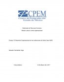 El Desarrollo Organizacional en las instituciones de Salud Caso IMSS