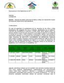 REMISIONES ESTADO NUTRICIONAL EPS CDI ASO DIVINO NIÑO T