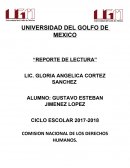 COMISION NACIONAL DE LOS DERECHOS HUMANOS. DECRETO QUE LE OTORGA AUTONOMIA A LA CNDH