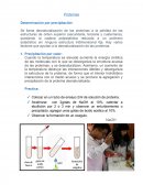 Proteínas y enzimas