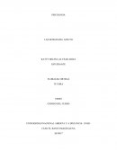 LAS SENDAS DEL AFECTO