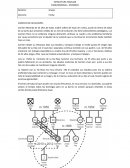 EJERCICIO ECOMAPA PARA REALIZAR SEMIANRIO 2015