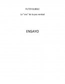 Ensayo bubble filter La ‘’era’’ de la pos verdad