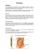 Peritoneo - Medicina Humana