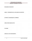 Actividad Necesidades de la empresa Caso Spider S.A. de C.V.