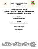 Cuadro Comparativo de Anatomía, Fisiología e Higiene