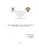 OBSERVACIÓN DEL AMBIENTE NATURAL Y FÍSICO DEL CENTRO DE ATENCIÓN DEL NIÑO Y LA NIÑA DE 0 A 3 AÑOS