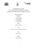 Auditoria del desarrollo y mantenimiento de software