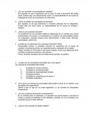 Sociedades mercantiles. ¿En qué consisten las sociedades de capitales?