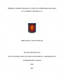 INFORME ACADEMICO BASADO EN LA PRÁCTICA EMPRESARIAL REALIZADA EN LA EMPRESA PAPPCORN S.A.S