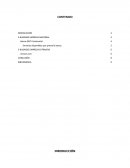 E-BUSINESS EMPRESA NACIONAL Y EXTRANJERA