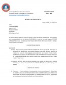 INFORME CON OPINION PERICIAL