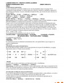 LABORATORIO N°3 : GRUPO III, BORO-ALUMINIO