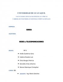 REDES y TELECOMUNICACIONES. EMPRESA SONDA. Página 1