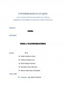 REDES y TELECOMUNICACIONES. EMPRESA SONDA