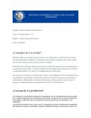 Plazos procesales ¿Concepto de La acción?