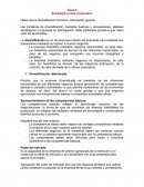 Tema 6 Estrategia a nivel corporativo