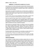 CAPÍTULO I: LA PROBLEMÁTICA AMBIENTAL DE JALISCO