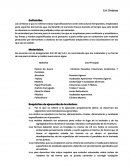 Cimbras en la construccion