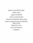 Seminario de Practica de Seguridad e Higiene Laboral