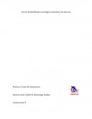 Practica 2: trazo de cimentacion