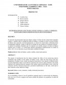 Proyecto conservacion babaco