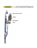 MECATRONICA Kelmirt Materiales Ferrosos y no Ferrosos