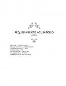 REQUERIMIENTO ACUSATORIO