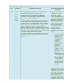 Un Analisis de Soluciones al Caso JetAirways