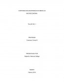 Taller teoria del paseo aleatorio