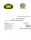 Balance de materia ejercicios