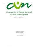 Analisis Financiero MUEBLES DE SINCELEJO S.A