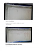 Discusiones hidrocarburos